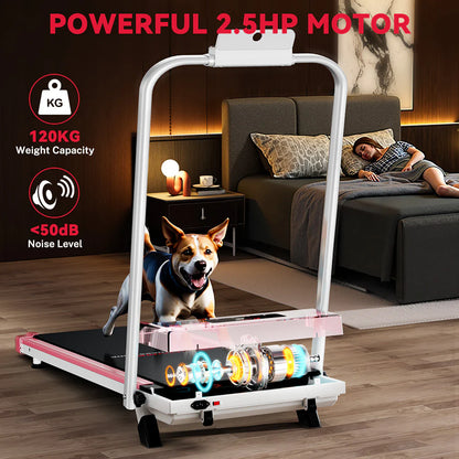 Treadmill C1, Speed 1-10KM/H, 5% Manual Incline